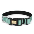 Collar de nailon reflectante ajustable para perro verde menta con placa dorada. - Verde Turquesa / S
