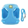 Blue reflective breathable mesh pet harness and leash set for small dogs and cats - XS / Blue