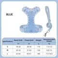 Blue gingham pet harness with lace trim and matching leash for small dogs, Hepburn style. - Leash Set / S / Blue