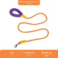 Durable orange dog leash with comfortable purple foam handle in size S, 1.5m length - 1.5m / Orange