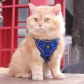 Atmungsaktives blaues Katzen-Brustgeschirr mit Sicherheits-Reflektorstreifen für Tiere - S / Blau