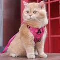 Reflecterend roze kattenharnas en riemset in ademende mesh-stijl vest voor katten - S / Rozerood