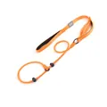 Professional heavy-duty orange nylon adjustable P-chain dog leash for large dogs - 170cm*0.6cm / Orange
