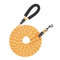 Langlebige orange reflektierende Hundeleine mit bequemen schwarzem Schaumstoffgriff - Orange