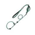 Adjustable green integrated P-chain dog leash for training large dogs - 170cm*0.6cm / Green