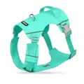 Ademend mintgroen hondentuigje vest met stevig handvat en reflecterende strip - XS / Alleen Harnas / Turkoois Groen