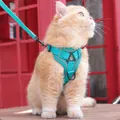Ademend blauwgroen kattenharnas met reflecterende strips en een bijpassende lijn - S / Meerblauw