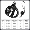 Black breathable reflective dog harness and leash set with detailed size chart - Black / XS