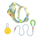Ademend hondentuigje en riem set met zeer levendige blauwe en gele contrastkleuren - XS / Harnas Lijn Set met LED-hanger / Zeezout Citroen