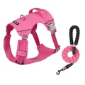 Lichtgewicht roze waterdicht hondentuigje en bijpassende riem set voor grote honden - XS / Harnas & Riem Set / Felroze