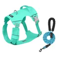 Groen vest-stijl hondentuigje met zacht handvat en bijpassende blauwe touwriem set - XS / Harnas- en lijnenset / Turkoois Groen