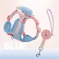 Schattig crèmeblauw hondentuigje met bijpassende riem en zachte knuffelversiering - XS / Crème Blauw Set