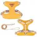 Bright yellow adjustable dog harness and leash set with breathable mesh lining for small dogs - XS / Harness and Leash Set / Yellow