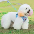 Atmungsaktives pink-blaues Netz-Brustgeschirr mit Leine für kleine Hunde und Katzen - XS / Oberteil Und Unterteil / Rosa
