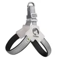 Grey reflective saddle-style dog harness with breathable padding and metal D-ring - Best Seller / S / Black