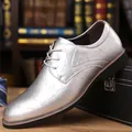 Elegant silver metallic textured men's formal dress shoes with pointed toe and lace-up design - 39 / Silver