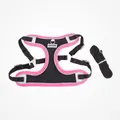 Atmungsaktives Hundegeschirr-Set in Pink und Schwarz mit Leine für kleine Hunde - S / Lila-Schwarz-Kontrast