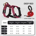 Reflektierendes Hundegeschirr Set in Tiefrot mit Leine und Doppel-D-Ringen für Hunde - Geschirr Und Leine Set / S / Dunkelrot