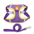 Purple and yellow reflective pet harness and matching leash set for small dogs and cats - S / Purple Leash Set / Purple