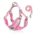Atmungsaktives rosa Hundegeschirr- und Leinenset aus Mesh für kleine Hunde, leicht - S / Rosa
