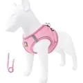 Roze reflecterend ademend hondentuigje en riem set voor kleine honden, SKU variant - XS / Reflecterende Rand-Roze