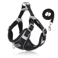 Atmungsaktives schwarzes Hundegeschirr- und Leinenset mit reflektierenden Streifen - S / Set / Schwarz