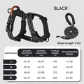 Reflektierendes schwarzes Hundegeschirr-Set mit Größentabelle für große Hunde - Geschirr Und Leine Set / S / Schwarz