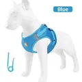 Verstelbaar blauw ademend mesh hondentuigje met bijbehorende reflecterende hondenriem - XS / Reflecterende Rand - Blauw