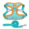 Vibrant turquoise and orange reflective breathable pet harness and leash set combo - Lake Blue