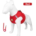 Professioneel rood reflecterend ademend mesh hondentuigje met bijpassende riem set - XS / Rood