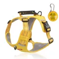 Leuchtend gelbes reflektierendes Hundegeschirr inklusive einer tragbaren LED-Leuchte - Gelb (Mit LED-Licht) / XS