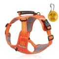 Oranges Hundegeschirr Weste mit Griff und gelbem LED-Sicherheitslicht - Orange (Mit LED-Licht) / XS