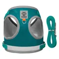 Breathable teal mesh dog harness and leash set with reflective strip and paw logo - Lake Blue