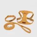 Ensemble harnais pour chien en daim moutarde doux avec collier et laisse 3 pièces - XXS / Jaune (Ensemble de 3 pièces)
