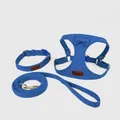 Ensemble harnais, collier et laisse pour chien en daim bleu de qualité, 3 pièces - XXS / Bleu (Ensemble de 3 pièces)