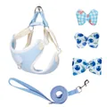 Lichtblauw hondentuigje set met riem en drie schattige verwisselbare fruitpatroon strikjes - S / Blauw Set