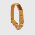 Collier pour chien réglable en microsuède jaune moutarde avec anneau en D en métal doré - XS / Collier ras-du-cou / Jaune d'automne