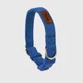 Premium blue suede dog collar featuring gold D-ring and durable plastic buckle. - XS / Choker Necklace / Asphalt Blue