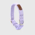 Soft lavender faux suede pet collar with premium gold-tone hardware and buckle. - XS / Choker Necklace / Taro Purple