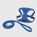 Blue faux suede dog harness and leash set featuring a cute bow and gold buckles - XXS / Harness & Leash Set / Asphalt Blue