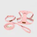 Pink suede dog harness, collar, and leash 3-piece set for stylish outdoor use - XXS / Three-Piece Set / Peach Pink