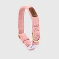 Adjustable soft pink faux suede dog collar with gold D-ring and purple quick release buckle - XS / Choker Only / Peach Pink