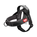 Reflective no-pull mesh dog harness in black and grey breathable padded fabric - S / Black and Gray