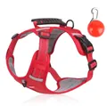 Rotes reflektierendes Hundegeschirr mit Griff und rotem LED-Sicherheitslicht - XS / Rot + Rote LED-Leuchte