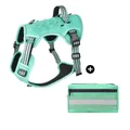 Arnés táctico para perros y bolsa de accesorios en verde menta para razas grandes - S / Arnés + Bolsa Táctica Conjunto / Verde Turquesa