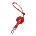 Strapazierfähige rote reflektierende Hundeleine mit robustem Metallverschluss für Hunde - Einzelne Leine / 2.5x250cm / Rot