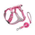 Reflektierendes rosa Hundegeschirr und passendes Leinen-Set mit atmungsaktivem Netzfutter - XS / Set / Fuchsia