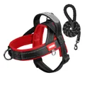 Reflective red and black dog harness with matching leash set for outdoor safety - S / Harness & Leash Set (Includes 1.5M*1.0CM Leash) / Red & Black