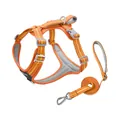 Atmungsaktives reflektierendes Hundegeschirr Set in Orange und Gelb mit passender Leine für draußen - XS / Set / Orange