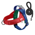 Reflective mesh dog harness and leash set in vibrant multi-color patchwork design - S / Harness & Leash Set (Includes 1.5M*1.0CM Leash) / Red & Blue